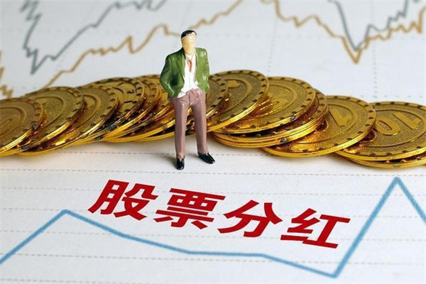 散户热潮背后的隐忧：美股市场的迷雾与机遇