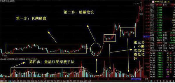 山东日照：从源头重塑北方茶乡竞争力